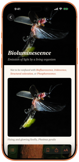 An article cover: full-bleed hero image with a serif title.